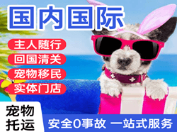 石河子花园航空快运国际宠物托运 【国